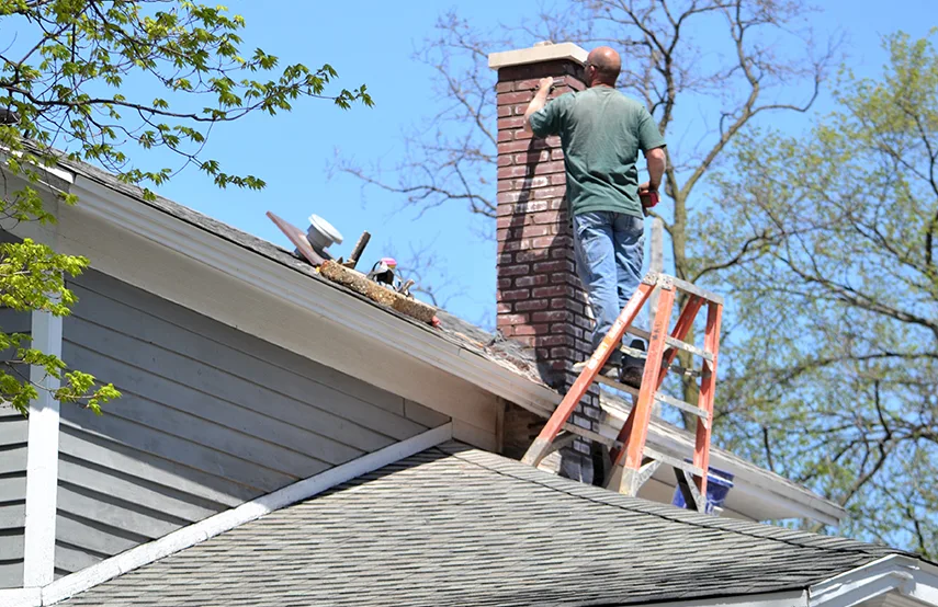 Chimney & Fireplace Inspections Services in Lancaster, TX